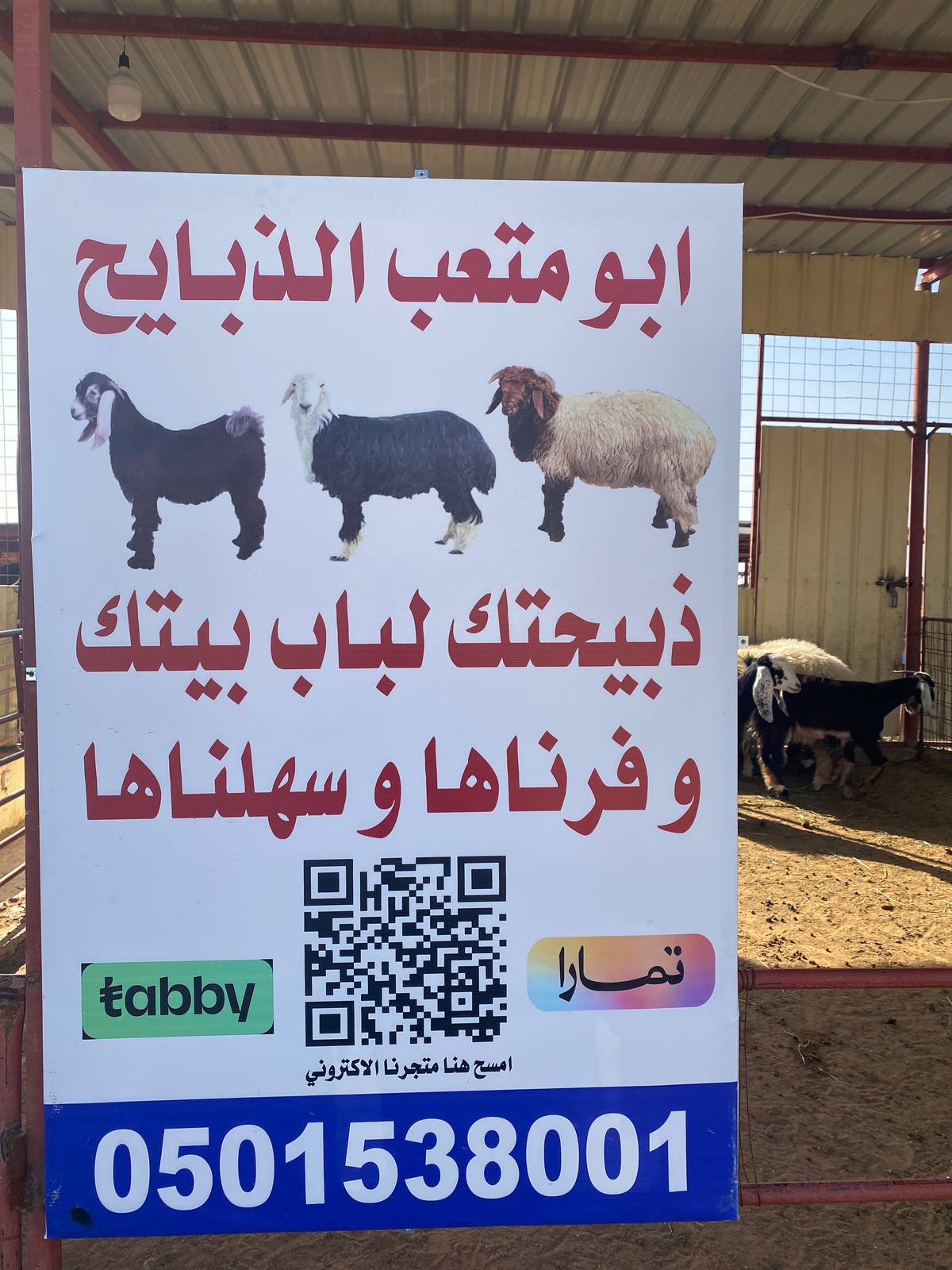 ابو متعب للذبائح