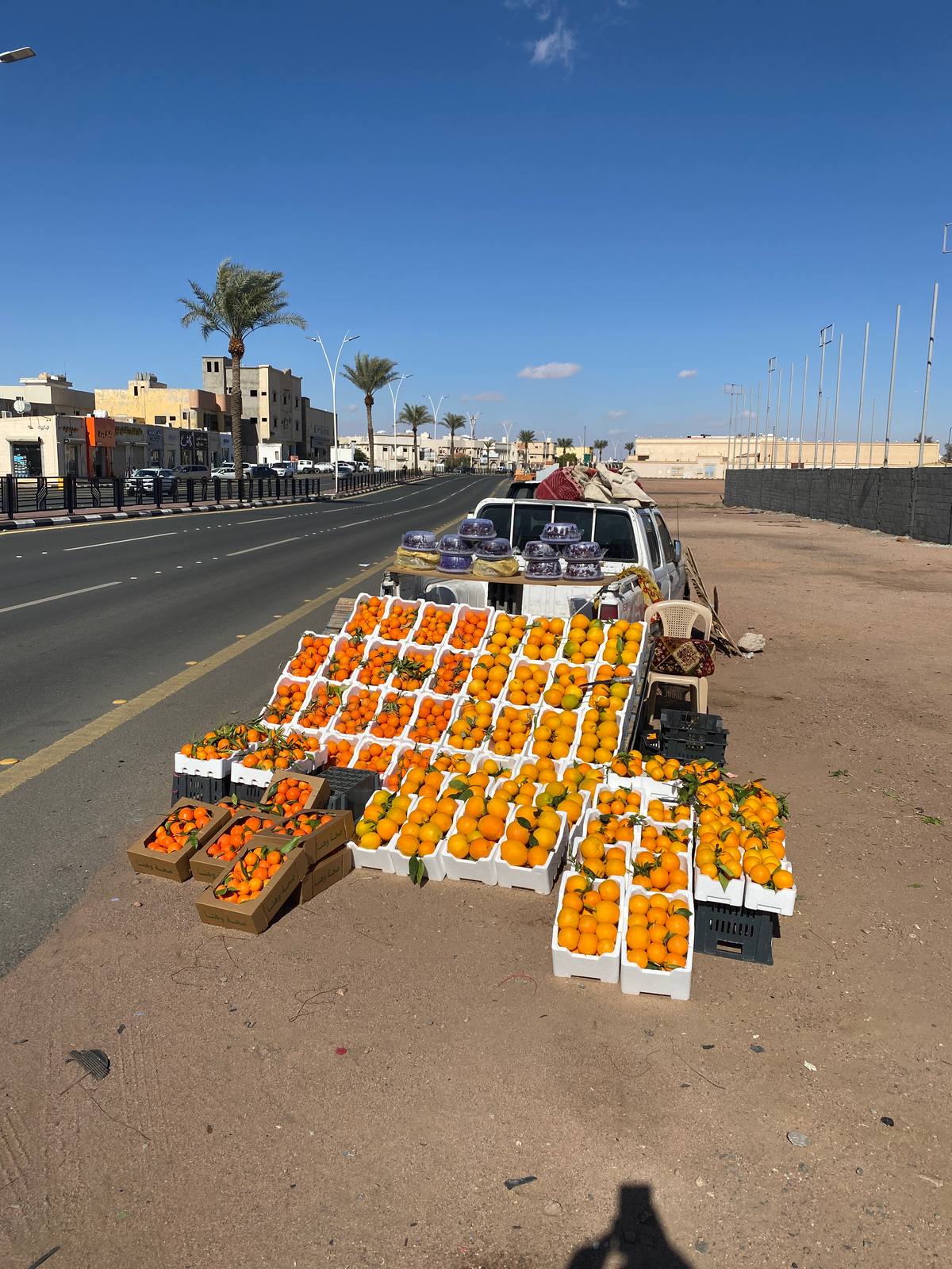 ابو ريان للفواكه والتمور