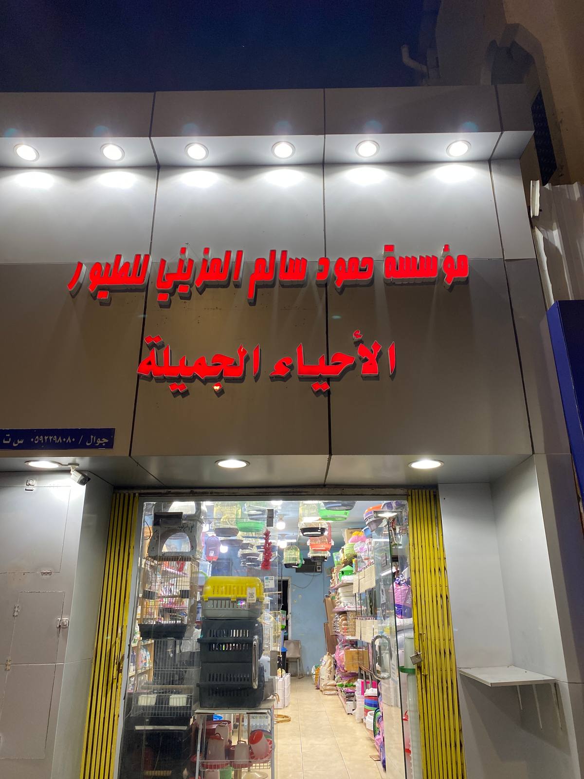 الأحياء الجميلة
