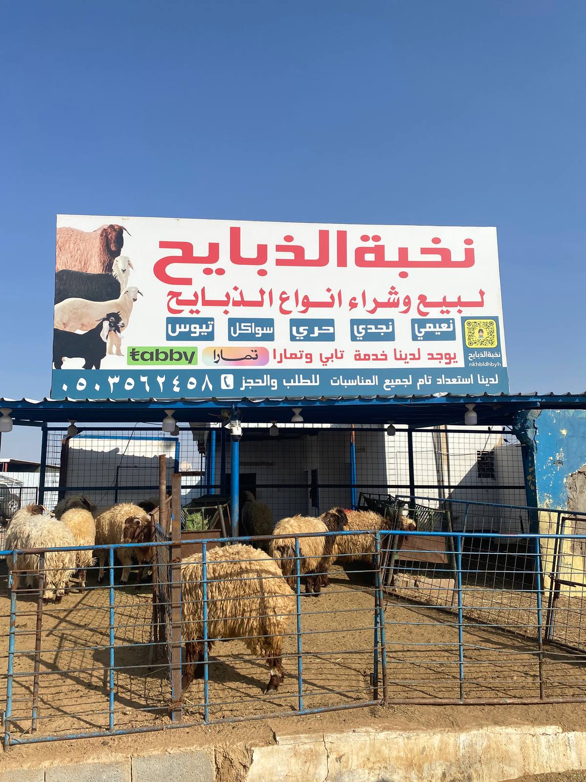 نخبة الذبايح