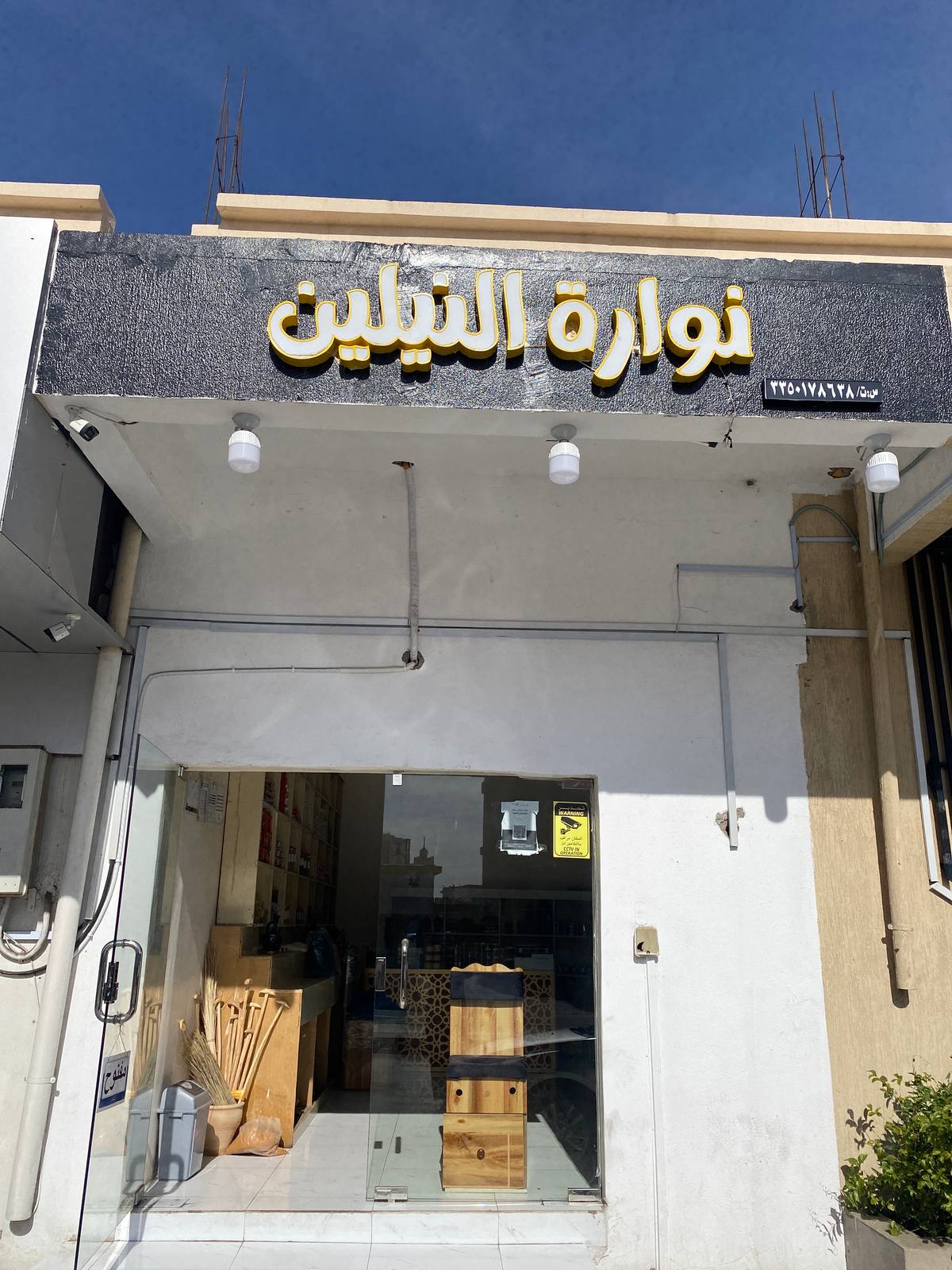 نوارة النيلين