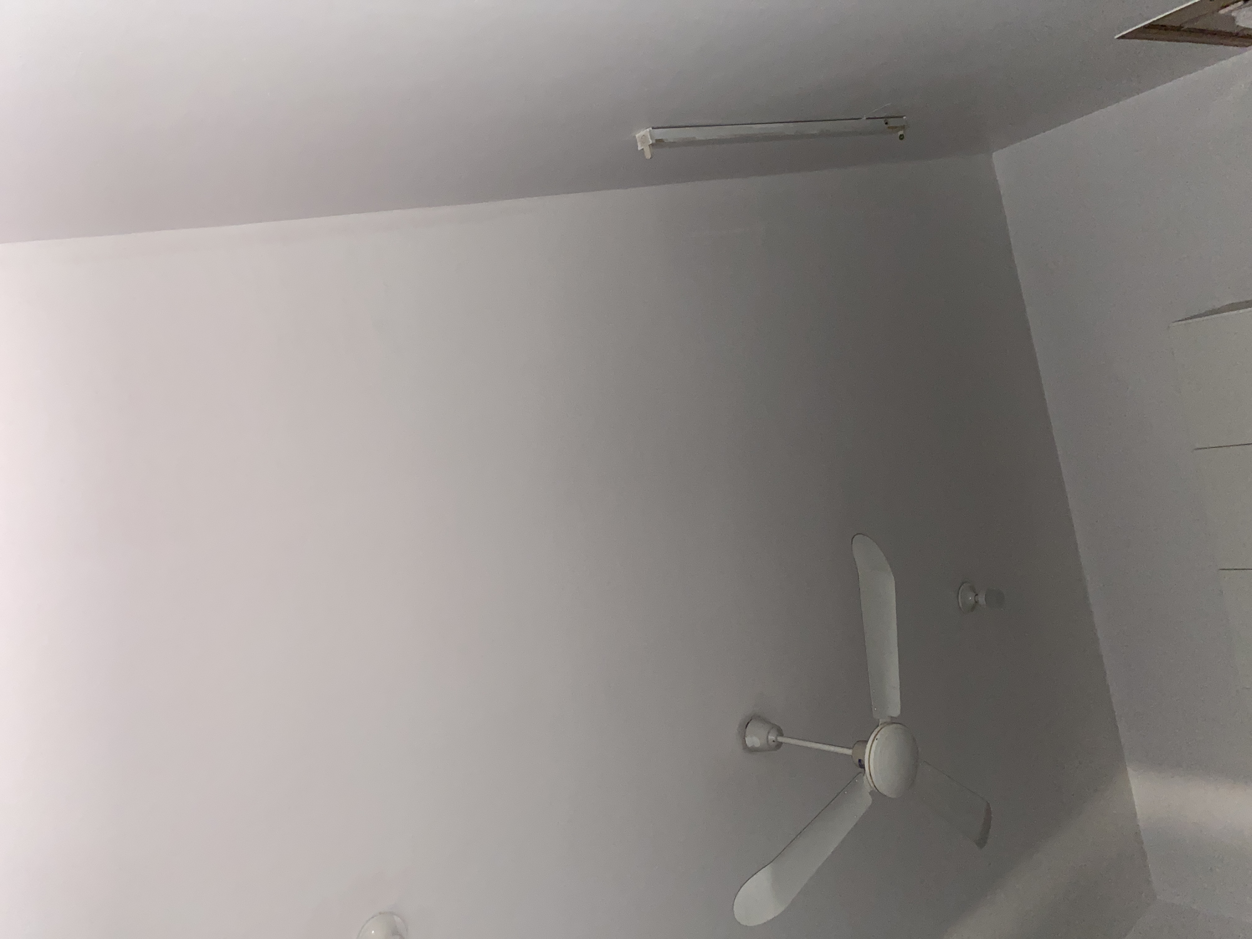 اختبار١١