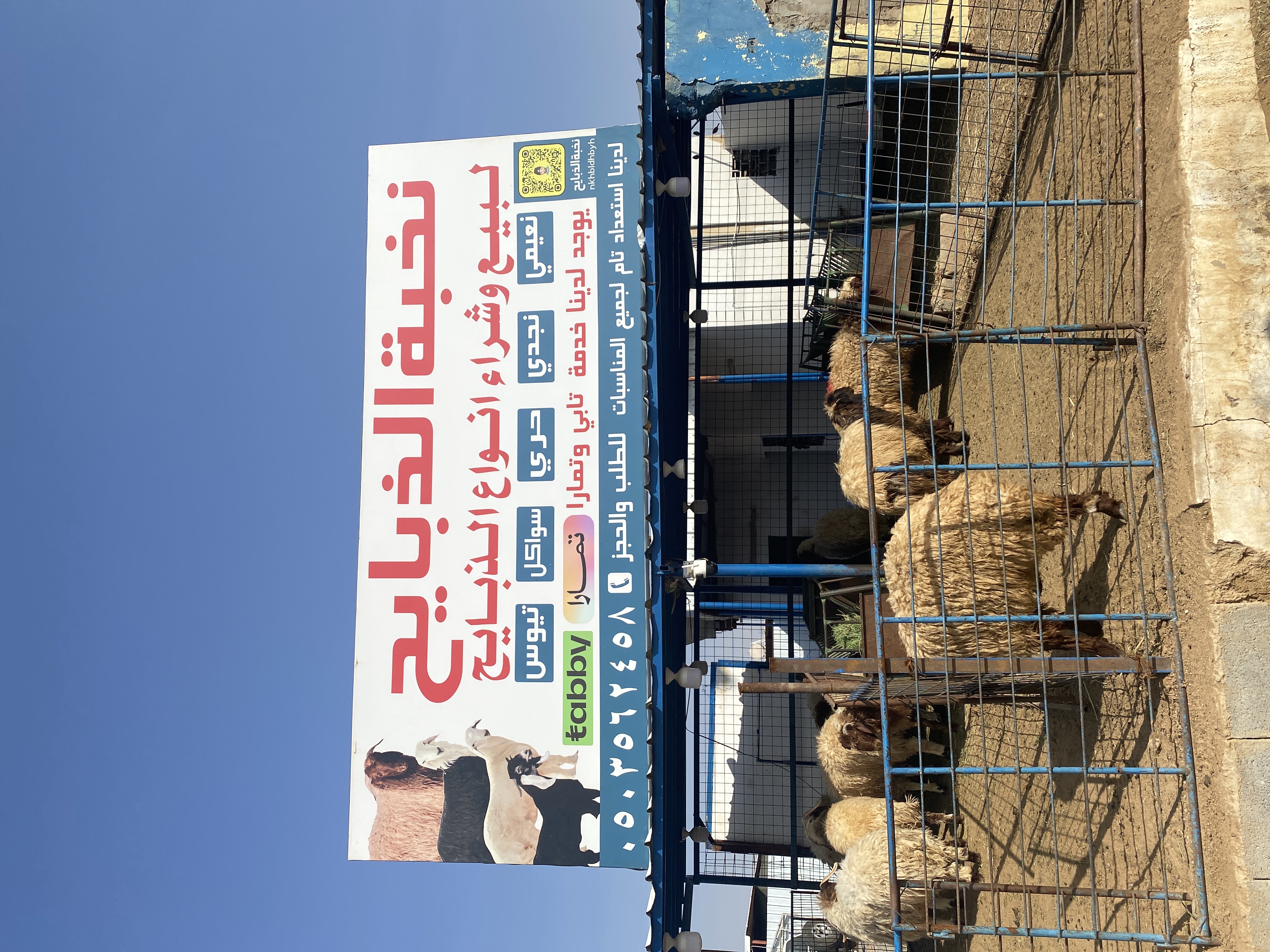 نخبة الذبايح